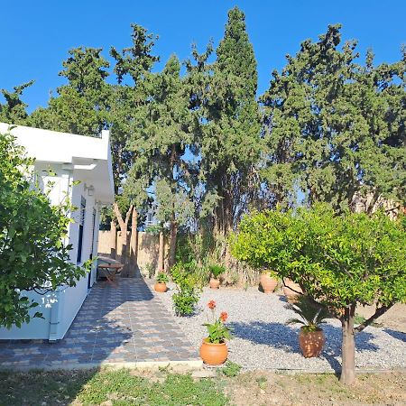 Deja Blue Villa Archangelos  Dış mekan fotoğraf