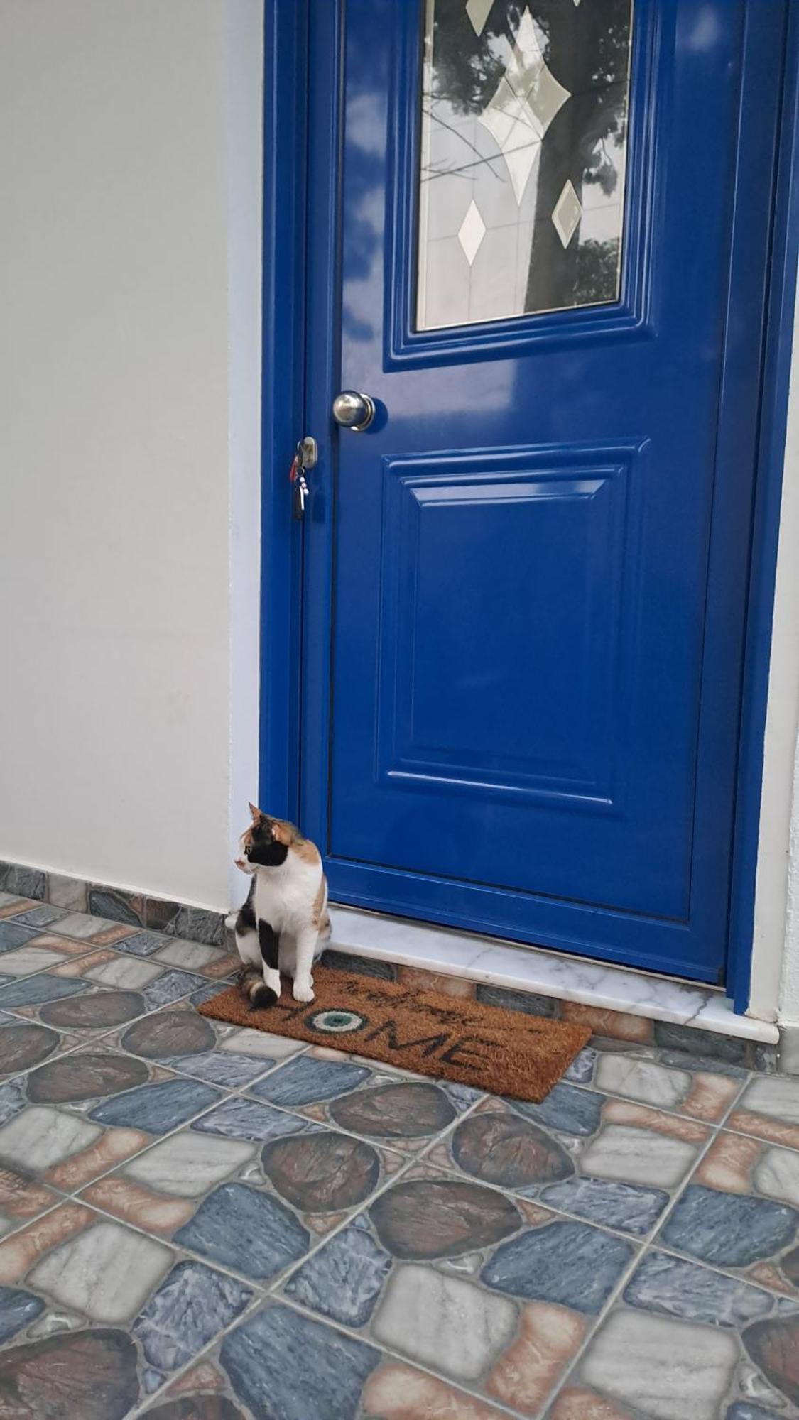 Deja Blue Villa Archangelos  Dış mekan fotoğraf